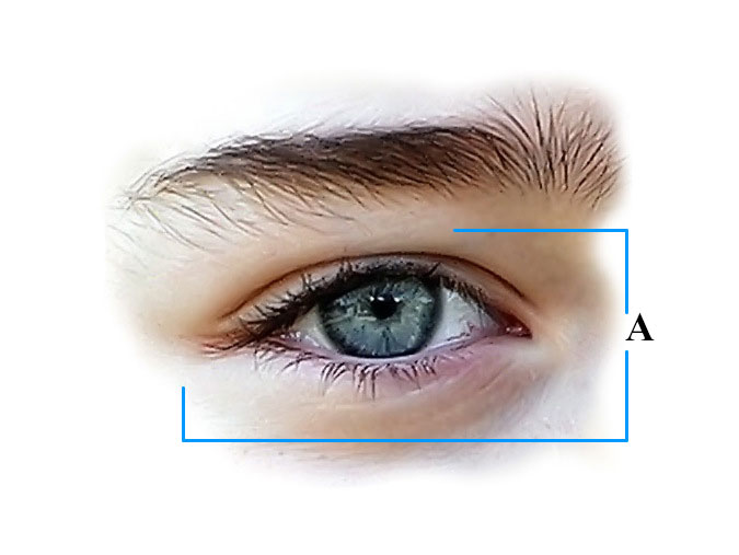 Домашний глаз прямой. Глаз человека фото. Прямые глаза человека. Ортотропия глаз. Рамка глаза.