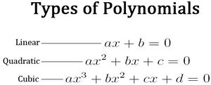 Polynomials-01-goog