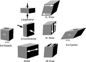 Shear-01-goog