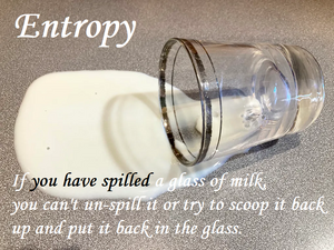 Entropy-milk-01-goog