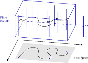 Fibre-Bundle-01-goog