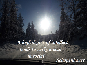 Quotes-Schopenhaue-antisociality-01-goog