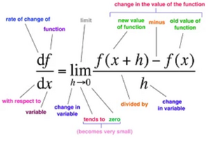 Derivative-01-goog