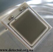 Pin photodiode