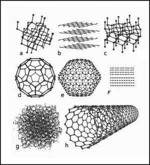 Eight Allotropes of Carbon+