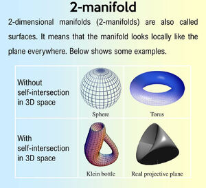 Manifolds-2D-12-goog