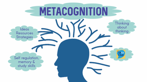 Metacognition-01-goog