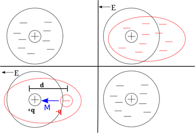 Dielectric model