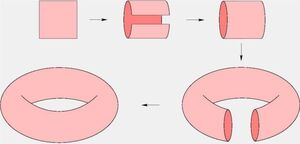 Homeomorphism-02-goog