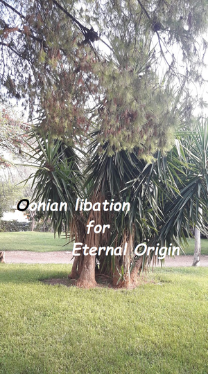 Oonian-libation-01-mine