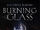 Burning Glass (2016)