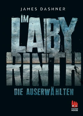 Maze Runner 1 (Buch)