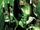 Green Lantern