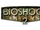 BioShock