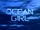 Ocean Girl
