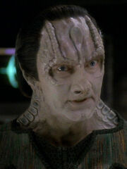 Elim Garak