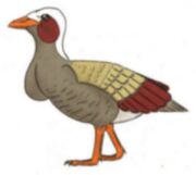 American dwarf moa (SciiFii)