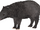 Buffalo tapir