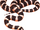 Boot snake