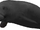 Western manatee