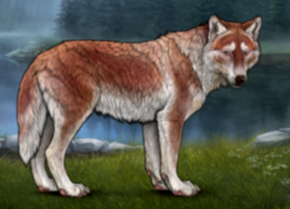 The extinct Sicilian wolf shows a complex history of isolation and