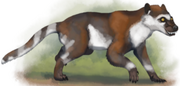 Werelemur (SciiFii)
