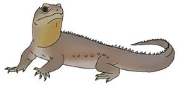 Clevosaurus SciiFii Wiki Fandom