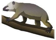 American koala lemur (SciiFii)