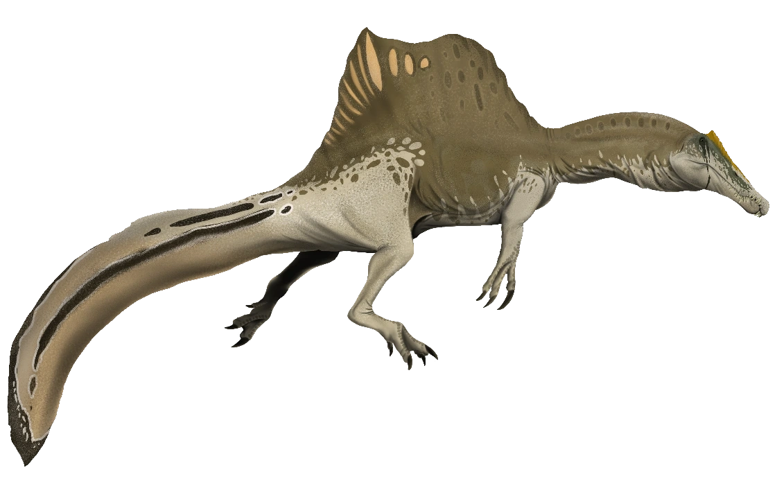 Spinosaurus V2 SciiFii Wiki Fandom