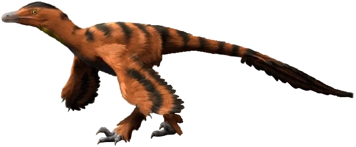 Dromaeosaur  Carnivorous Bipedal Dinosaur, Feathered Species