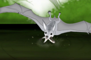 African silver bat (SciiFii)