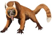 American baboon lemur (SciiFii)