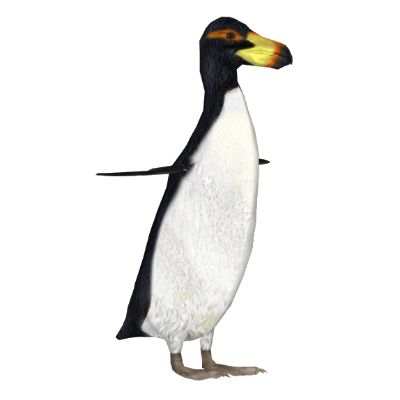 邦楽 Clippers-King penguin/Wicked babylon _129435695_mediaitem129435694.jpg