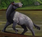 American kelpie (SciiFii)