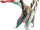 Arcupycnocheirus