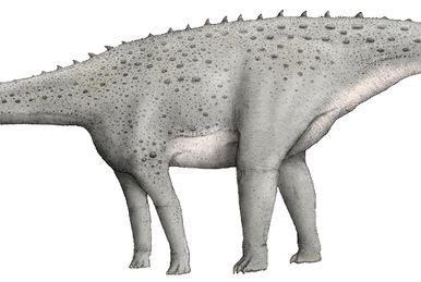 File:Forfexopterus Size Comparison.svg - Wikipedia