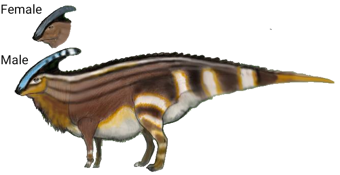 Parasaurolophus V1 | SciiFii Wiki | Fandom