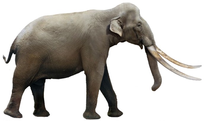 Picture of Palaeoloxodon