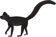 American leaf lemur (SciiFii)
