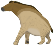 Alaskan chalico (SciiFii)