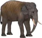 American elephant (SciiFii)