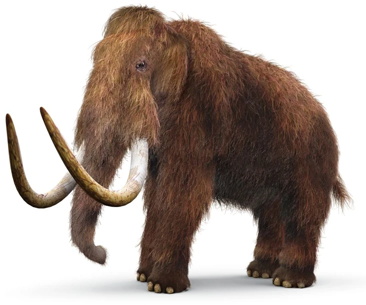 Woolly mammoth | SciiFii Wiki | Fandom