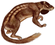 American howler lemur (SciiFii)