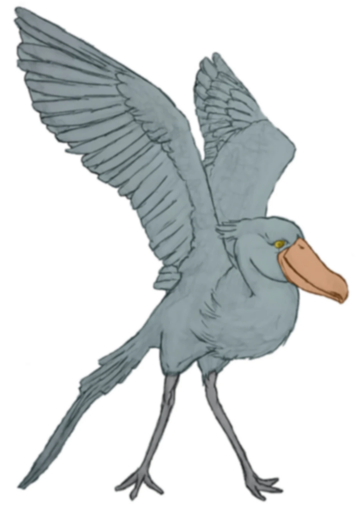 その他 Shoebill European shoebill | SciiFii Wiki | Fandom