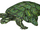 Wing-ding turtle