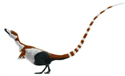 Compsognathus SciiFii