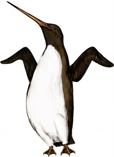 Palaeeudyptes SciiFii Wiki Fandom