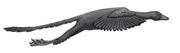 Archeopteryx (SciiFii)