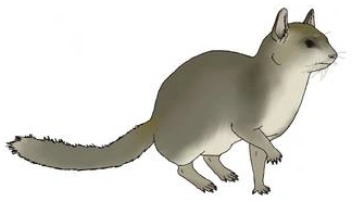 Notopithecus SciiFii Wiki Fandom