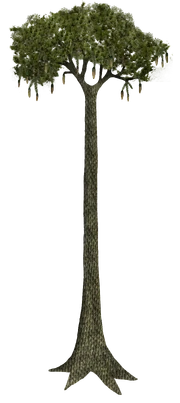 Lepidodendron (SciiFii)